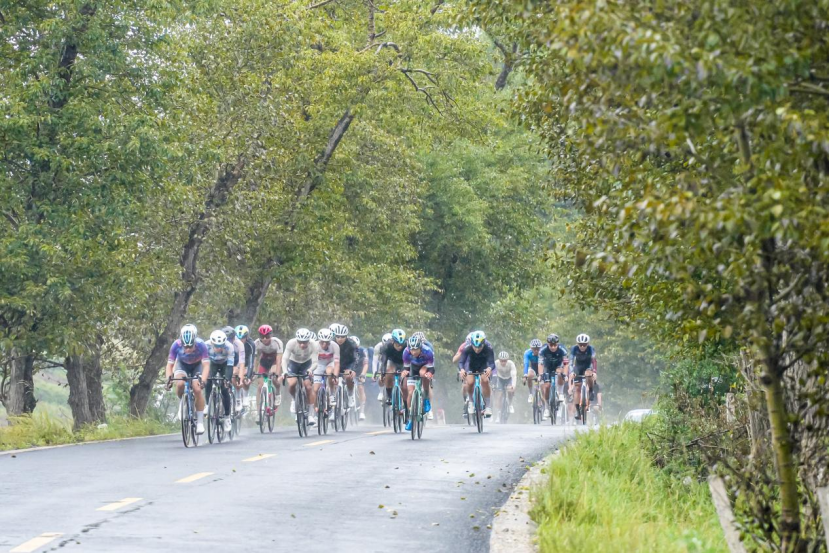 体育活动中, 推出