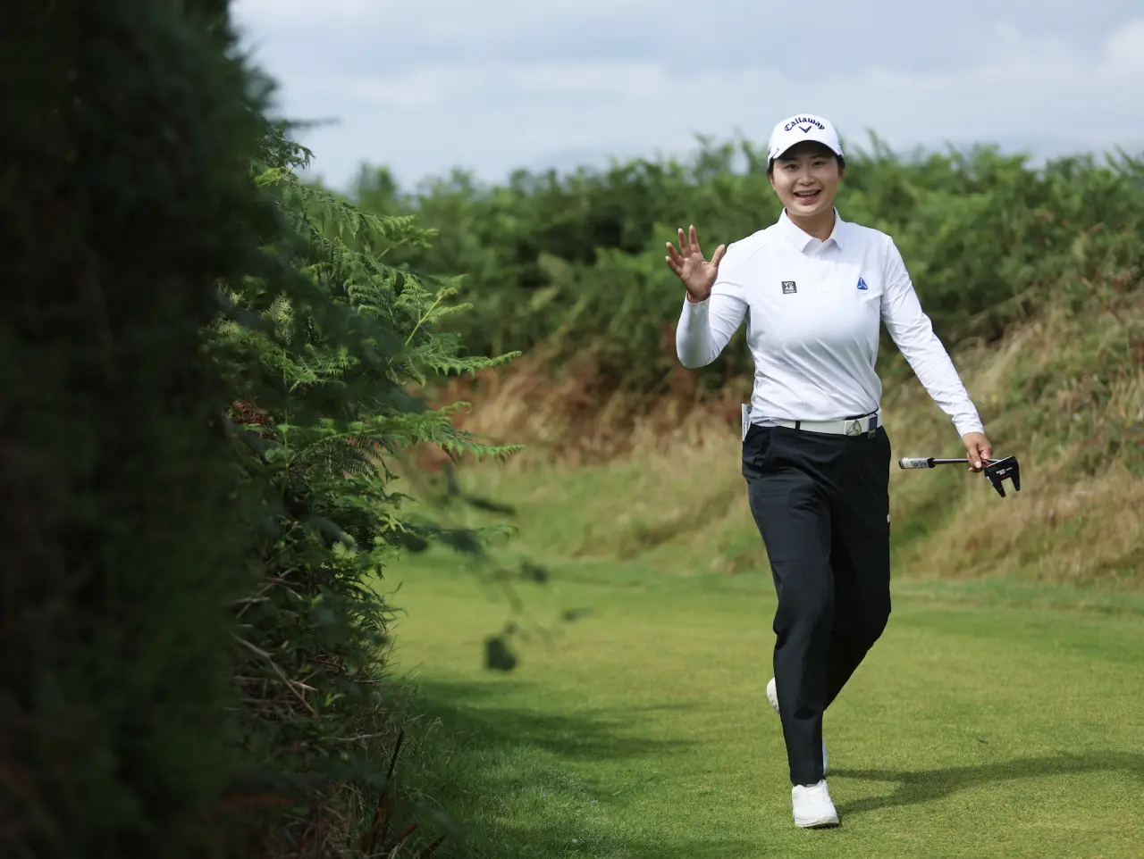 密尔顿TP, img 密尔顿TP, img